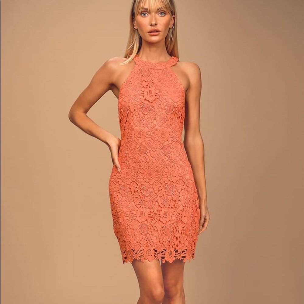 Lulus Love Poem Coral Orange Lace Mini Dress